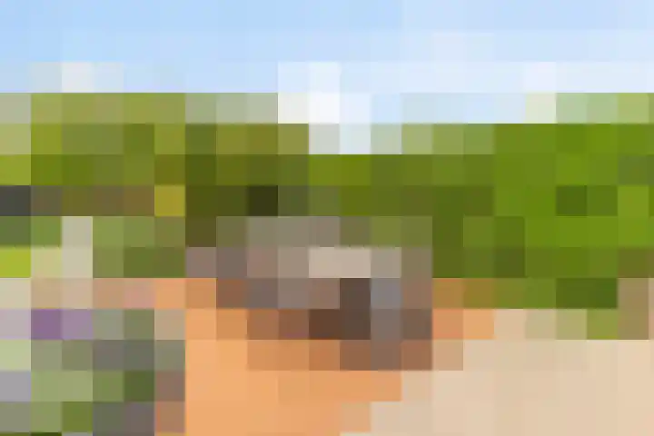 Europalaan 8 Drunen thumbnail 35