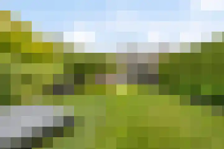 Europalaan 8 Drunen thumbnail 36