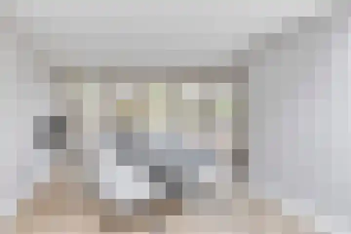 Europalaan 8 Drunen thumbnail 4