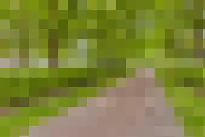 Europalaan 8 Drunen thumbnail 43