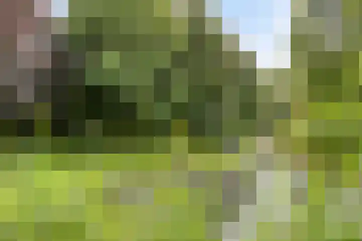 Europalaan 8 Drunen thumbnail 44