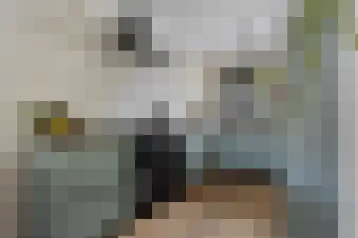 Europalaan 92 Drunen thumbnail 11