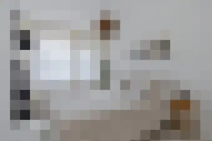 Europalaan 92 Drunen thumbnail 15