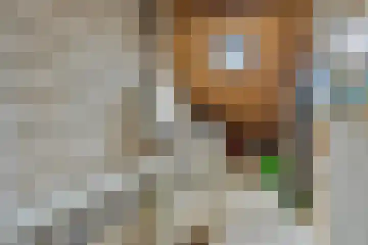 Europalaan 92 Drunen thumbnail 23