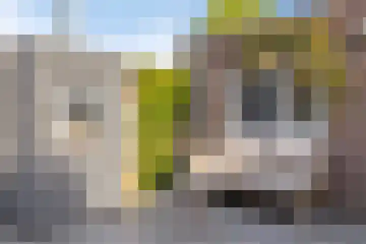 Europalaan 92 Drunen thumbnail 28