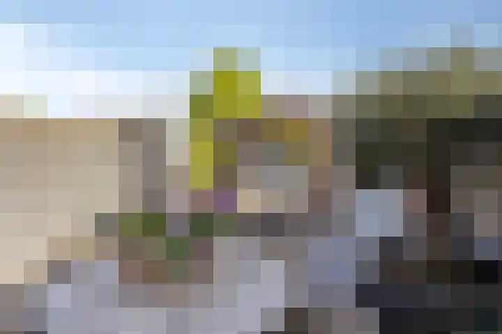 Europalaan 92 Drunen thumbnail 29