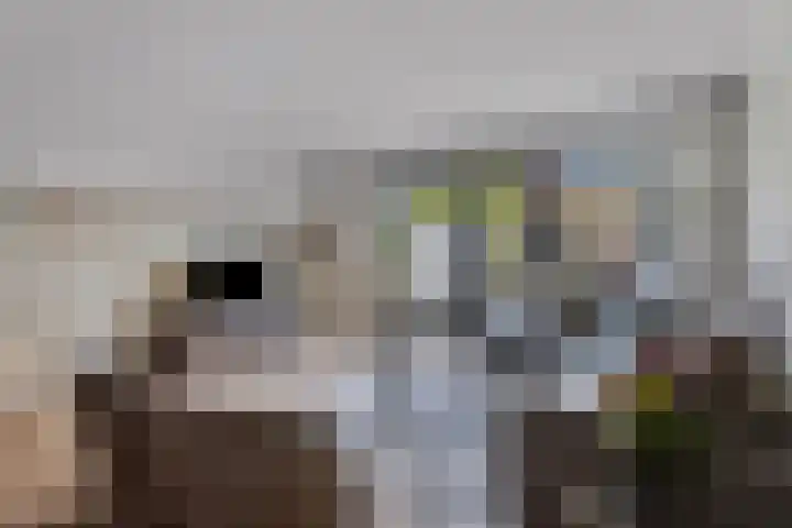 Europalaan 92 Drunen foto 3