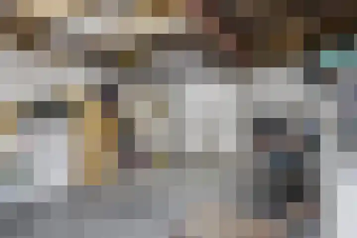 Europalaan 92 Drunen thumbnail 31