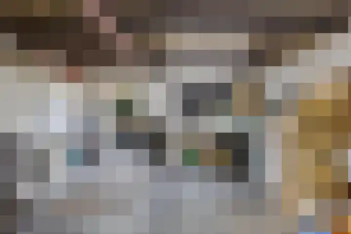 Europalaan 92 Drunen thumbnail 32