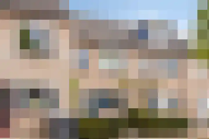 Europalaan 92 Drunen thumbnail 36