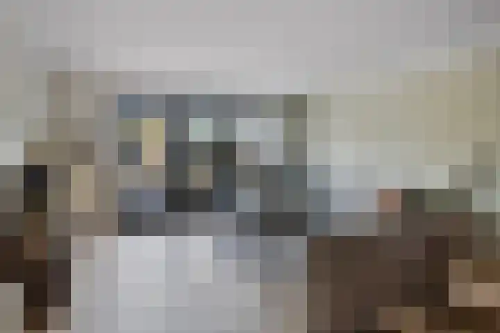 Europalaan 92 Drunen thumbnail 7