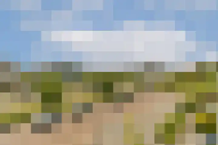 Europalaan 922 Almere thumbnail 7