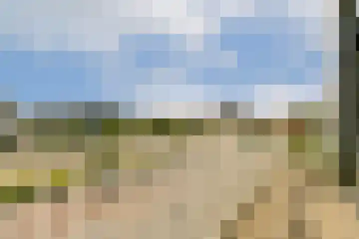 Europalaan 922 Almere thumbnail 9