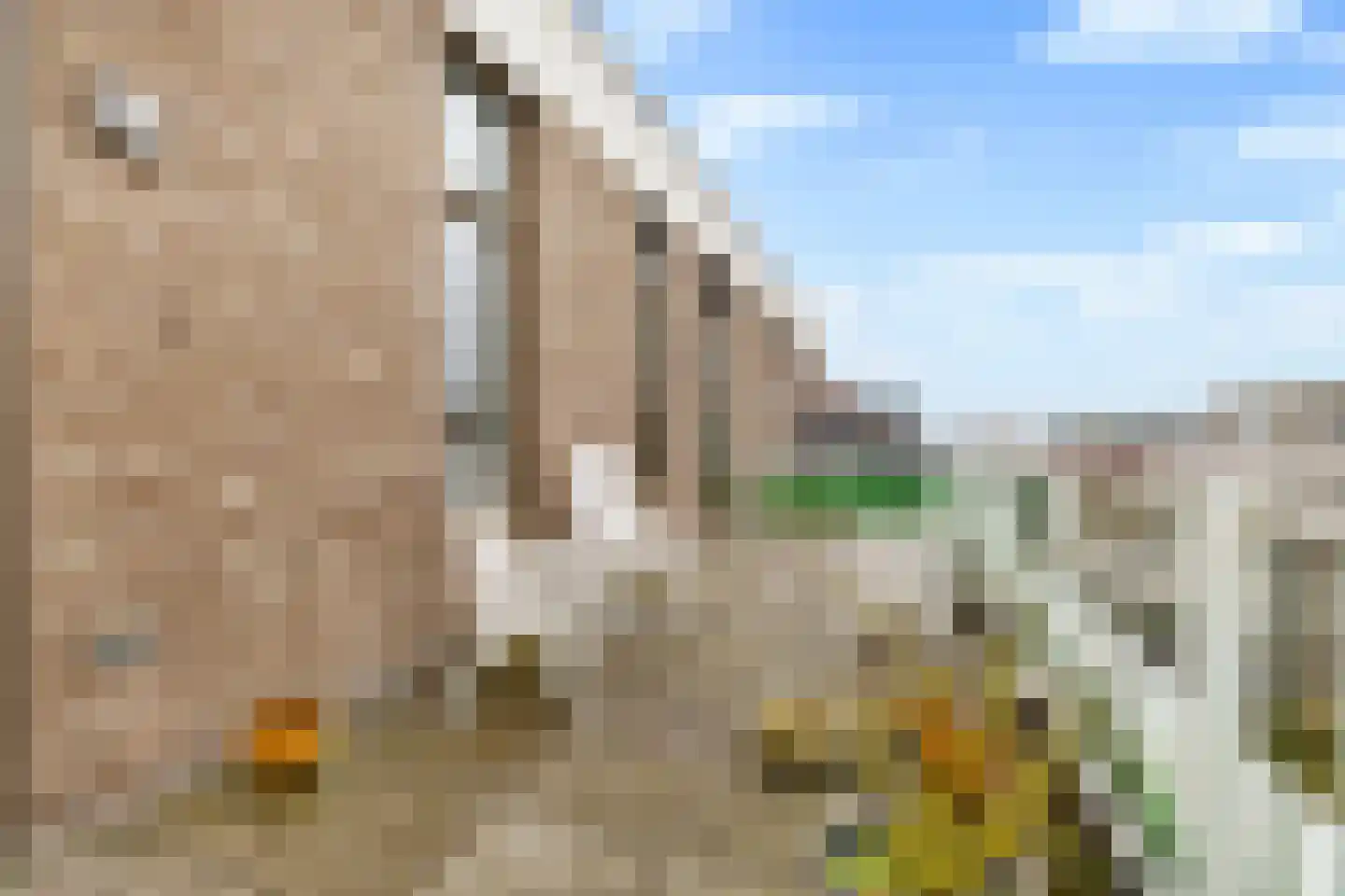 Europalaan 958 Almere thumbnail 39