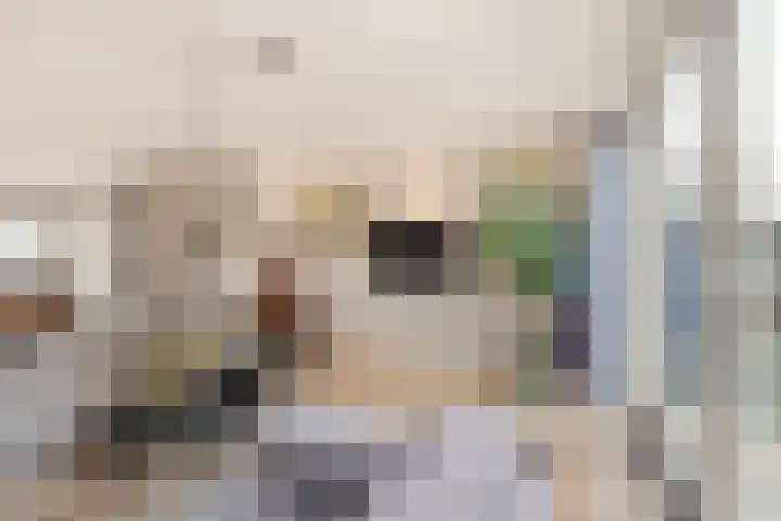 Europasingel 61 Wervershoof thumbnail 6