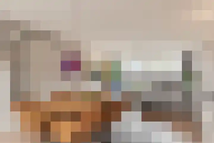 Europasingel 61 Wervershoof thumbnail 8