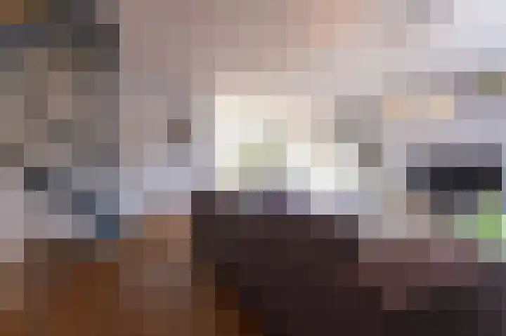 Europasingel 84 Wervershoof thumbnail 12