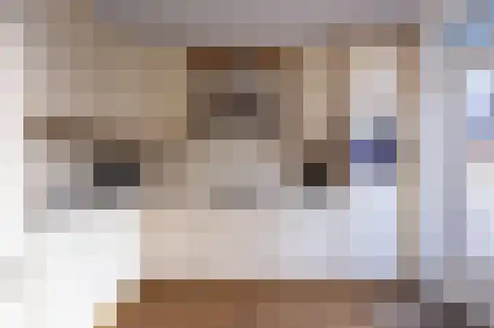 Europasingel 84 Wervershoof thumbnail 16