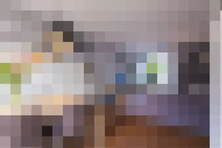 Europasingel 84 Wervershoof thumbnail 18