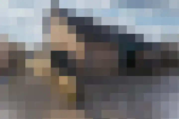 Europasingel 84 Wervershoof thumbnail 7