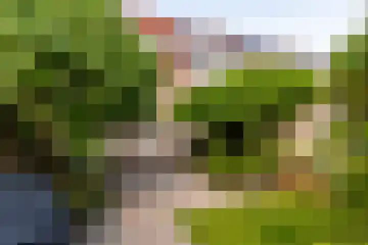 Eurosingel 162 Dronten thumbnail 30