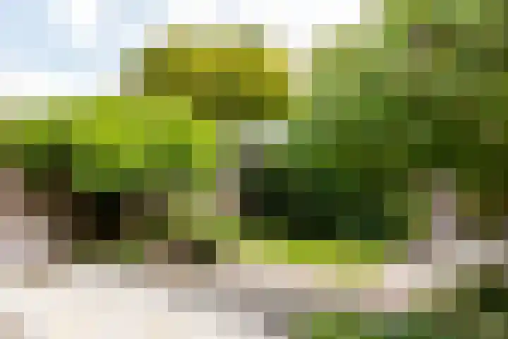 Eurosingel 162 Dronten thumbnail 32