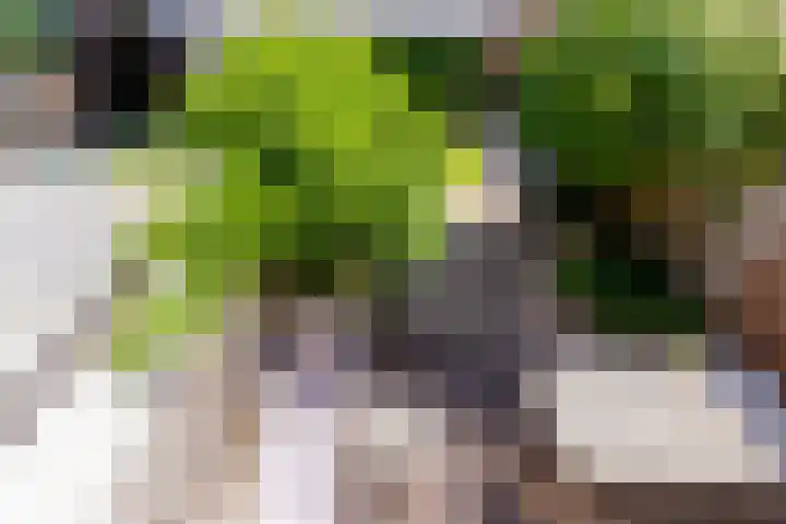 Eurosingel 162 Dronten thumbnail 34