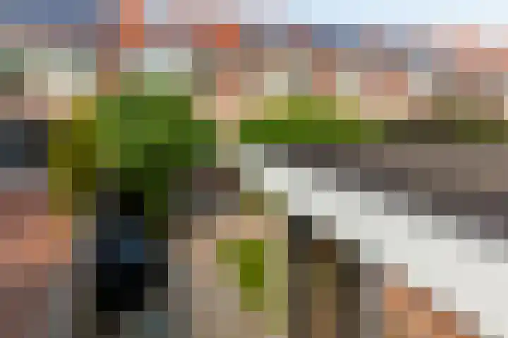 Eurosingel 162 Dronten thumbnail 35