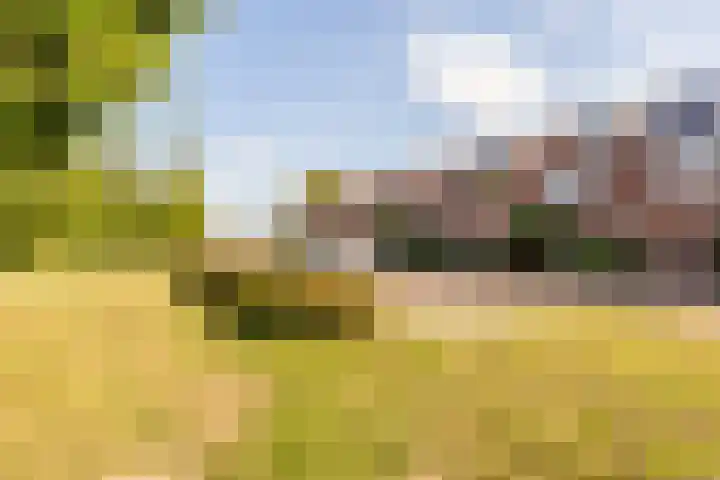 Eurosingel 162 Dronten thumbnail 38