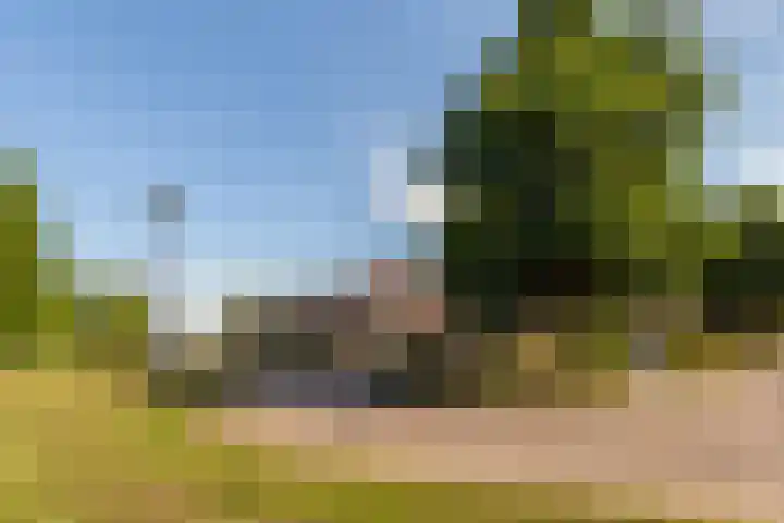 Eurosingel 162 Dronten thumbnail 39