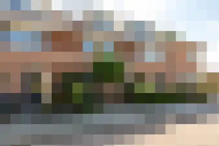 Eurosingel 162 Dronten thumbnail 5