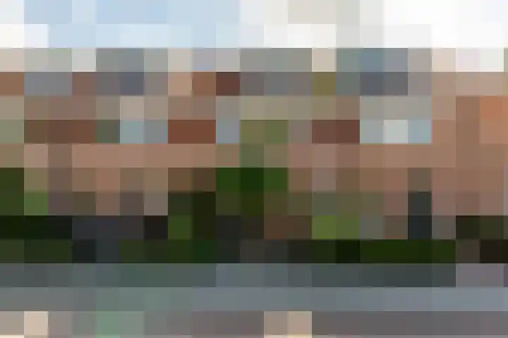 Eurosingel 162 Dronten thumbnail 51