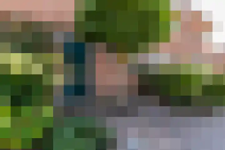 Eurosingel 162 Dronten thumbnail 6