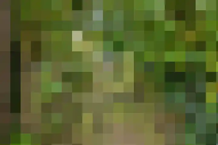 Eursingerweg 54 Beilen thumbnail 31