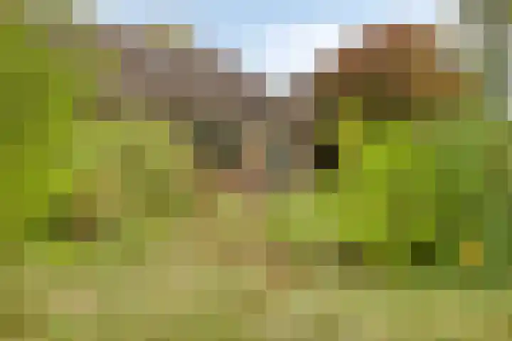 Eursingerweg 54 Beilen thumbnail 32