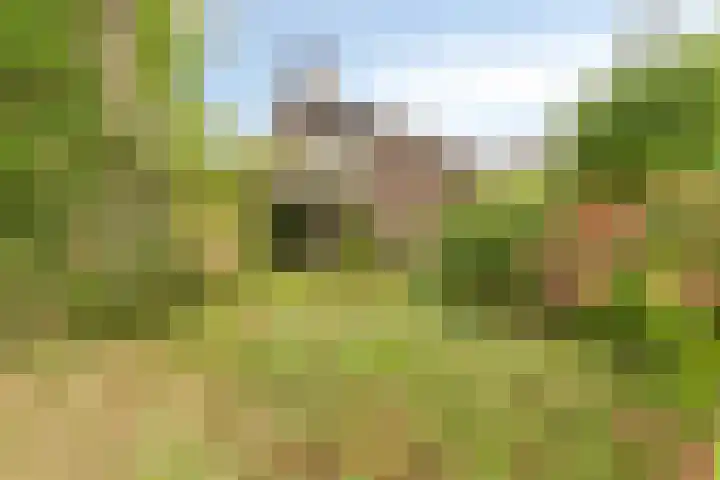 Eursingerweg 54 Beilen thumbnail 33