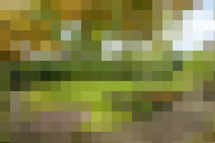 Eursingerweg 54 Beilen thumbnail 34