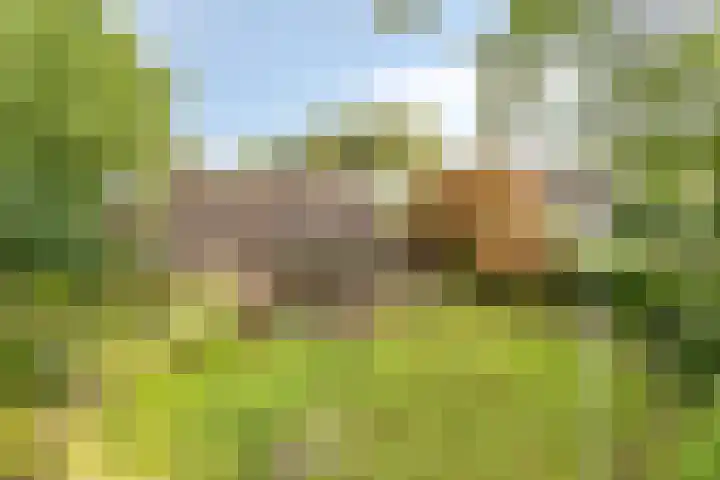 Eursingerweg 54 Beilen thumbnail 39