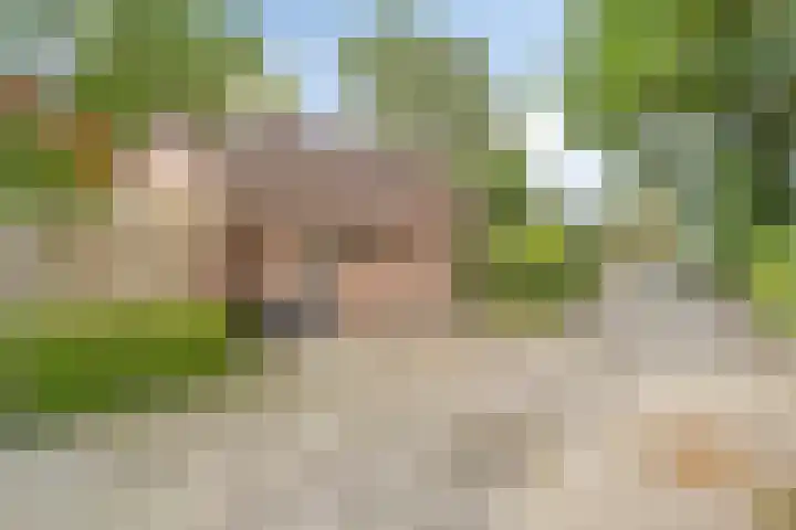 Eursingerweg 54 Beilen thumbnail 4