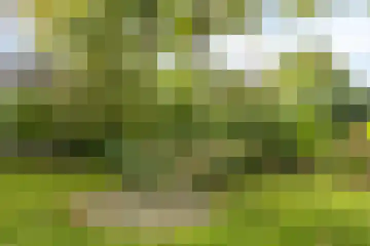 Eursingerweg 54 Beilen thumbnail 40