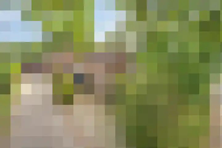 Eursingerweg 54 Beilen thumbnail 43