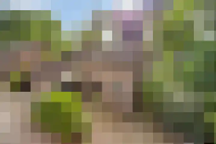 Eursingerweg 54 Beilen thumbnail 44
