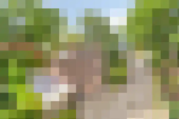 Eursingerweg 54 Beilen thumbnail 45