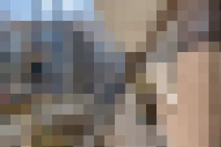 Eusebiusbinnensingel 21 Arnhem foto 2