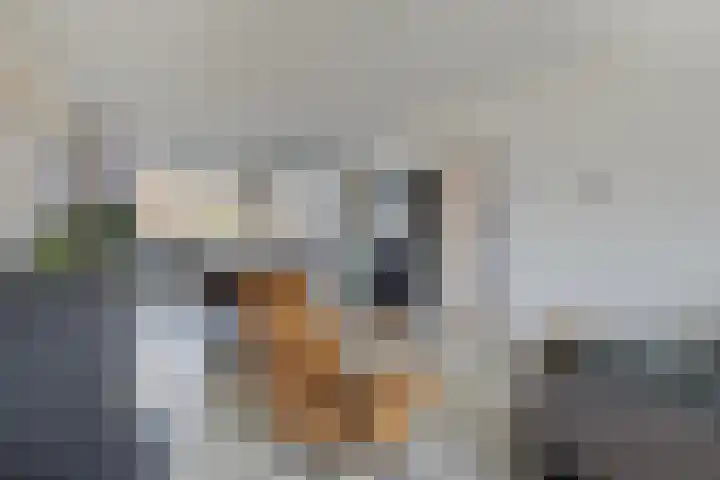 Eusebiusbinnensingel 21 Arnhem thumbnail 6
