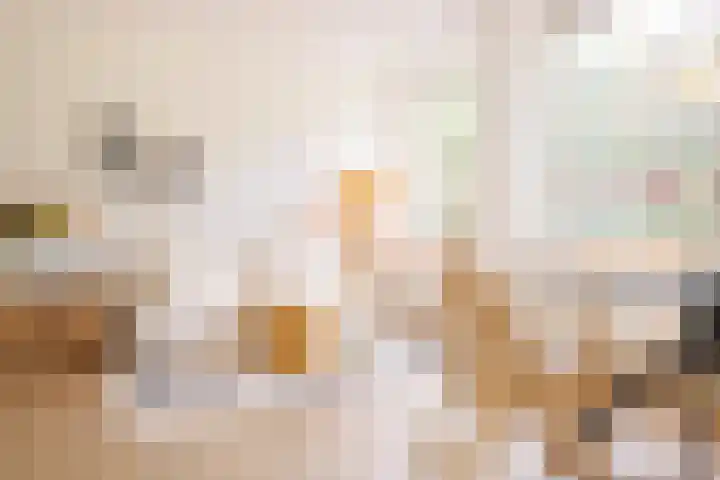Eusebiusbuitensingel 20 17 Arnhem thumbnail 12