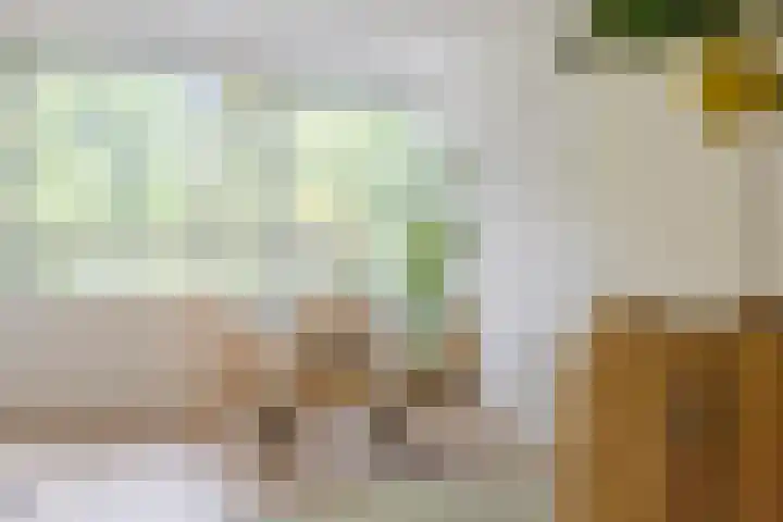 Eusebiusbuitensingel 20 17 Arnhem thumbnail 15