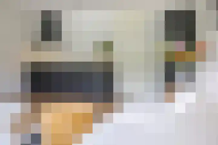 Eusebiusbuitensingel 20 17 Arnhem thumbnail 18