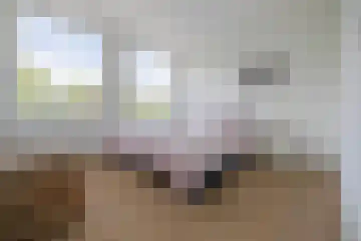Eusebiusbuitensingel 20 22 Arnhem thumbnail 15