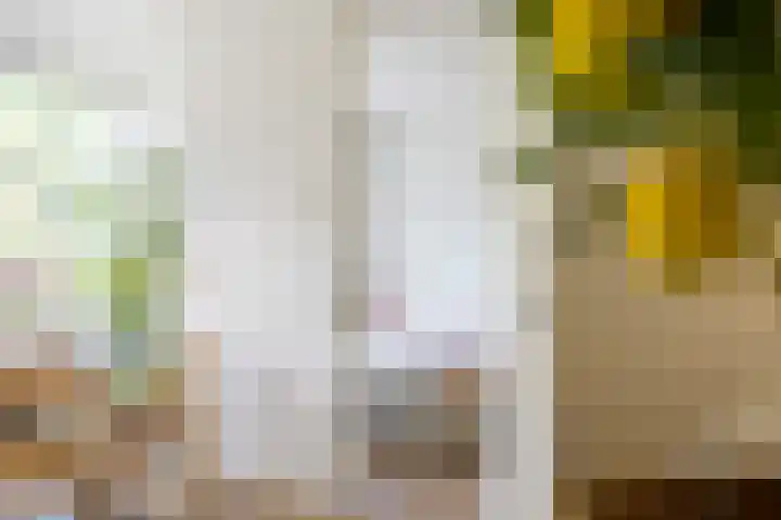 Eusebiusbuitensingel 20 24 Arnhem thumbnail 19